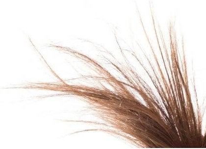 Jak zapobiegać rozdwajaniu się końcówek włosów? Poznaj sposoby i kosmetyki na ten problem!