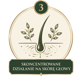 Etap 3 - skoncentrowane działanie na skórę głowy
